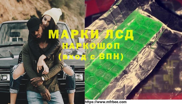 ешки Бородино