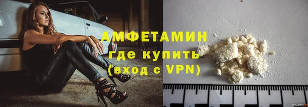 сатива Балахна