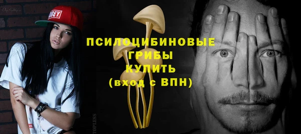 MESCALINE Богородицк