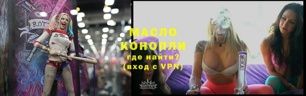 крисы Богородск