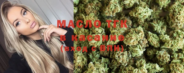 ешки Бородино
