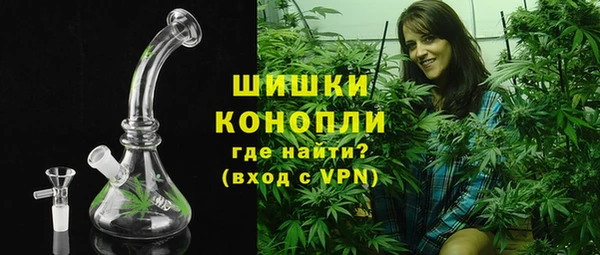 ешки Бородино