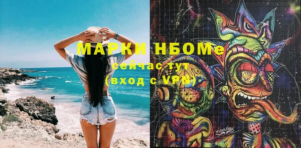 ешки Бородино